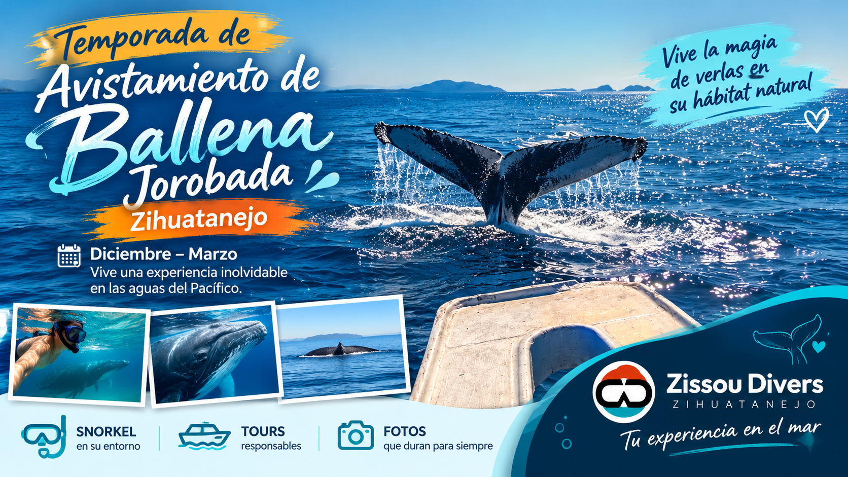 Temporada de Avistamiento de ballena jorobada